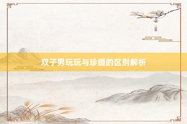 双子男玩玩与珍摄的区别解析